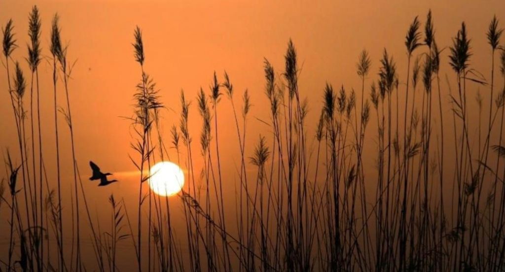 Puesta de sol en la Albufera de Valencia